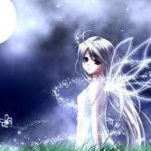 Meet your Posher, Kayanne